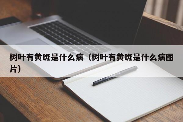 树叶有黄斑是什么病（树叶有黄斑是什么病图片） 